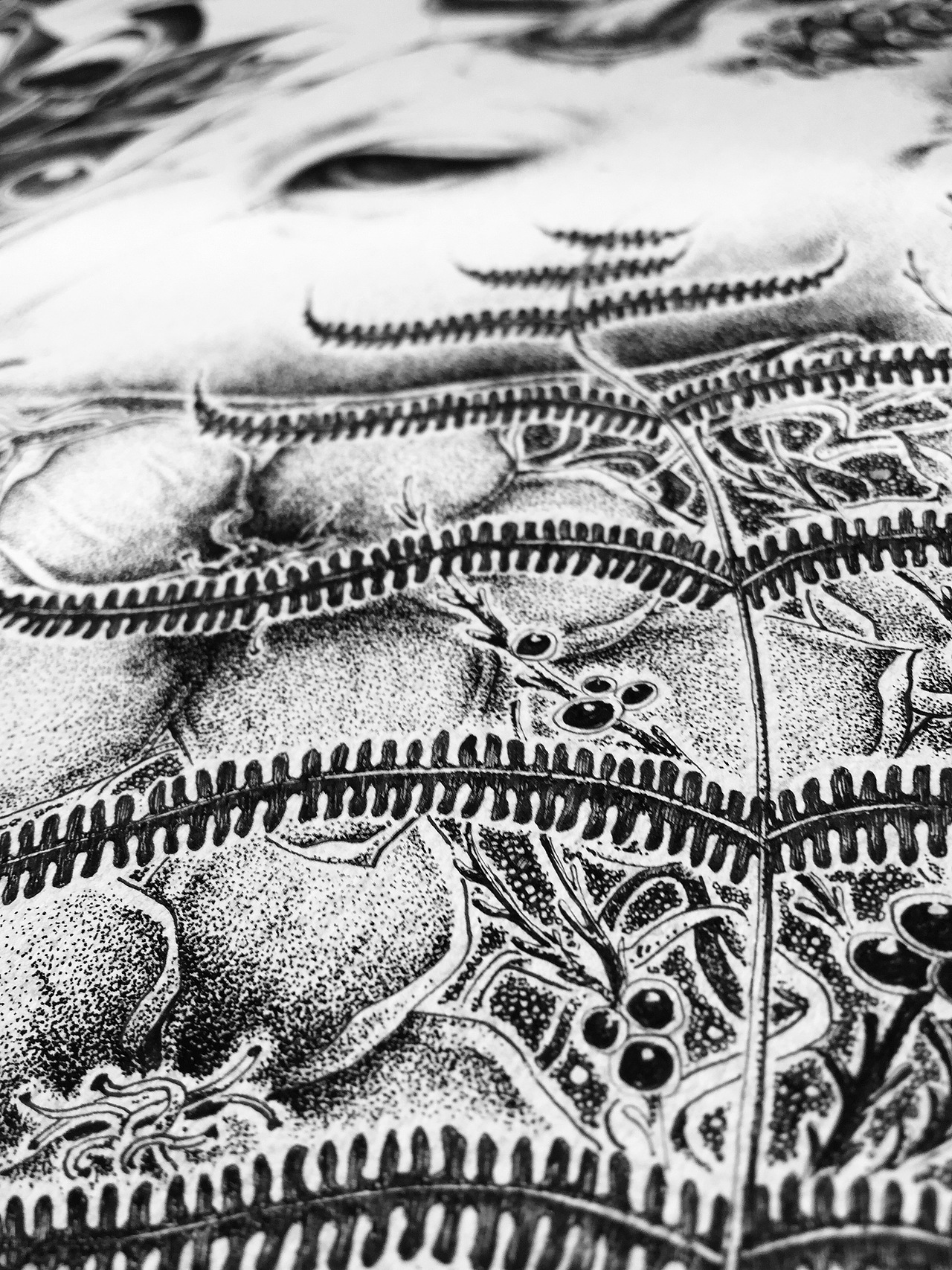 【针管笔】60小时插画作品