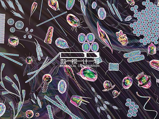 救视计划——长江流域生物多样性保护的信息可视化设计