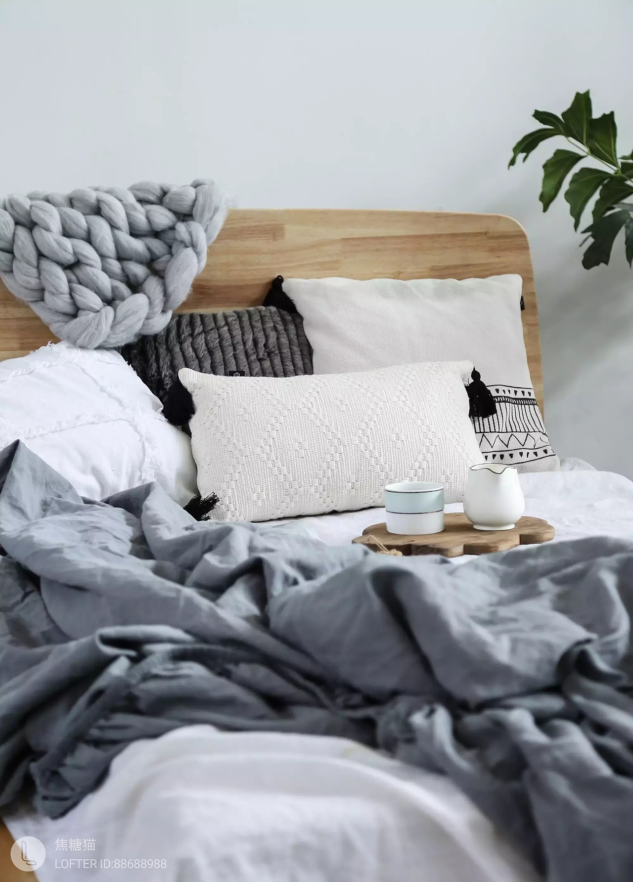 2021合集|焦糖猫