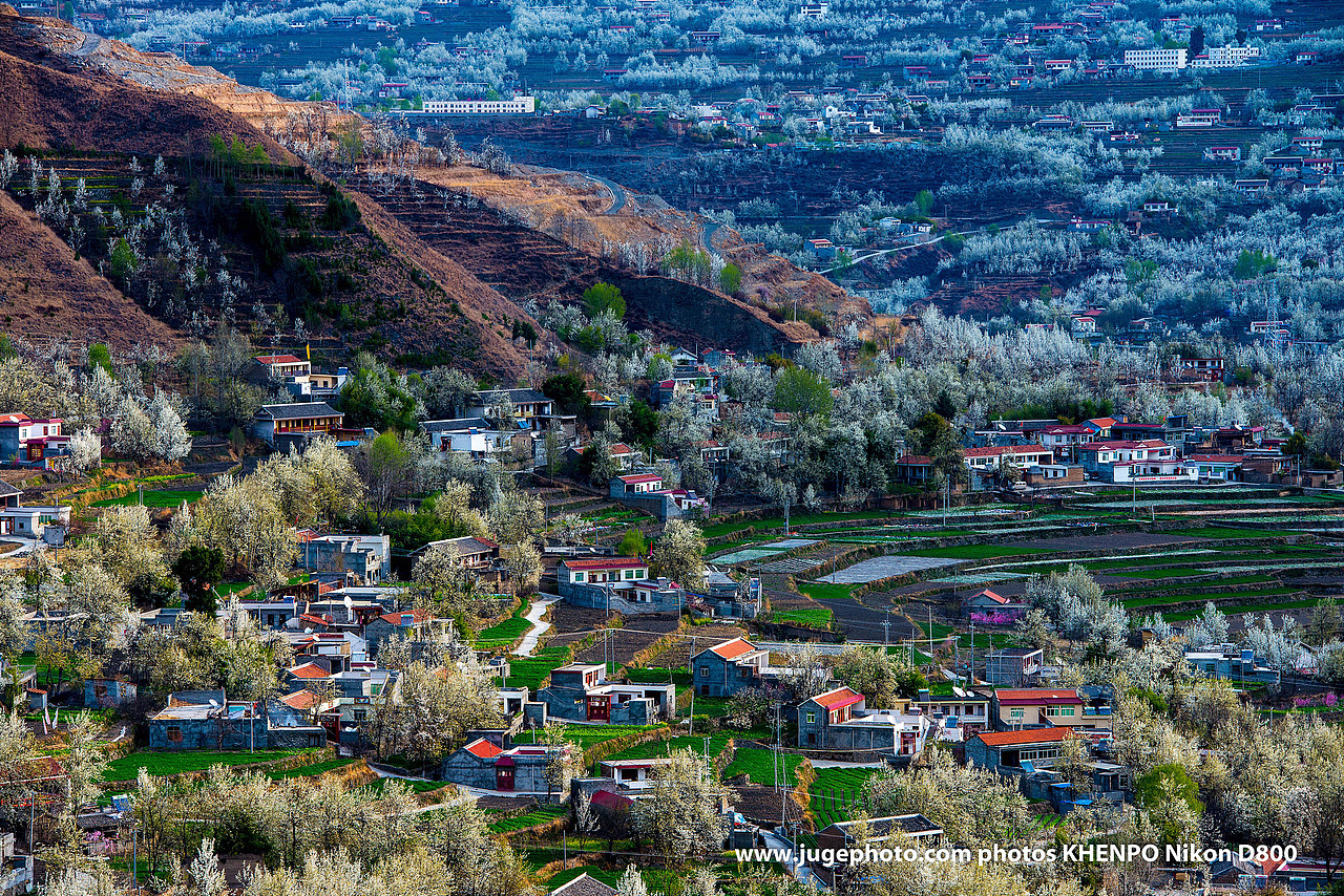 金川梨花（图ZMTA1OTU0NTg4） - 风光摄影 - 站酷设计师聚格影像原创素材 - 站酷ZCOOL