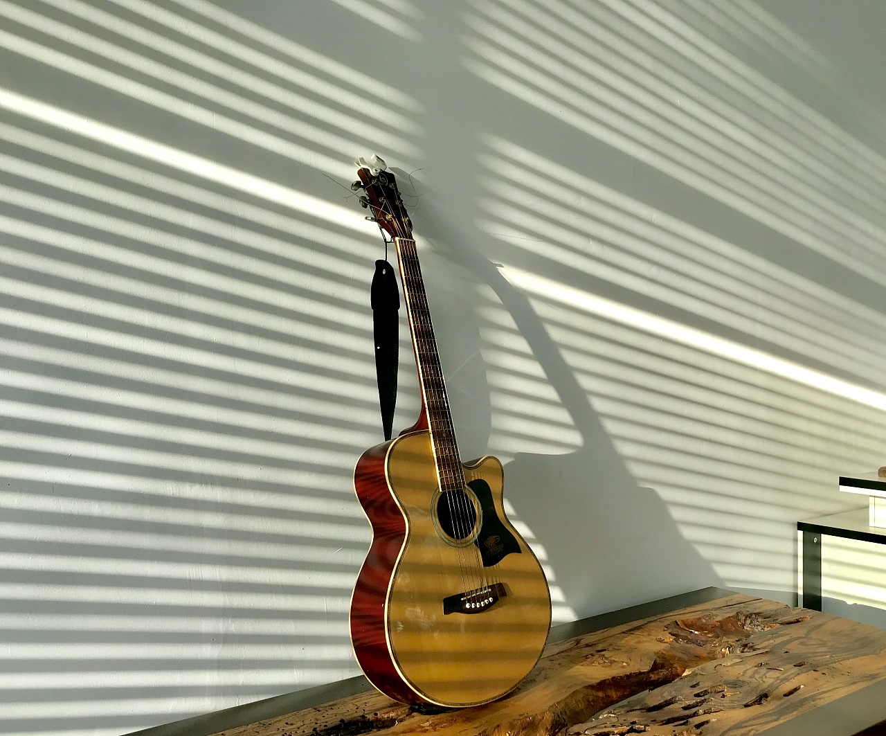 光影|摄影|静物|林猫儿 - 原创作品 - 站酷 (zcool)