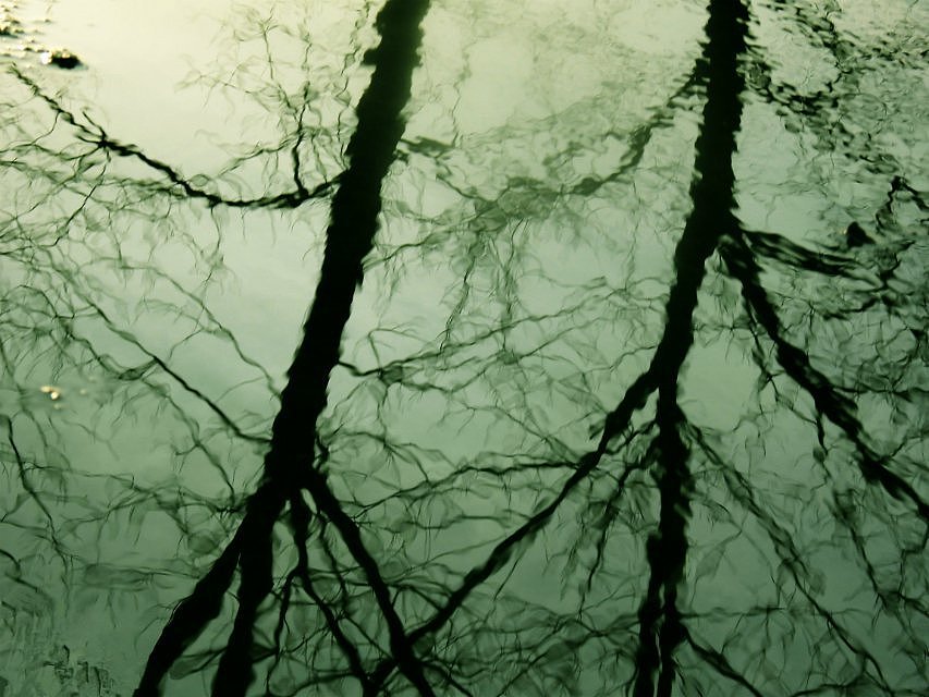 个人摄影（图ZMTc2MDQyMjA0） - 风光摄影 - 站酷设计师金叶子6原创素材 - 站酷ZCOOL