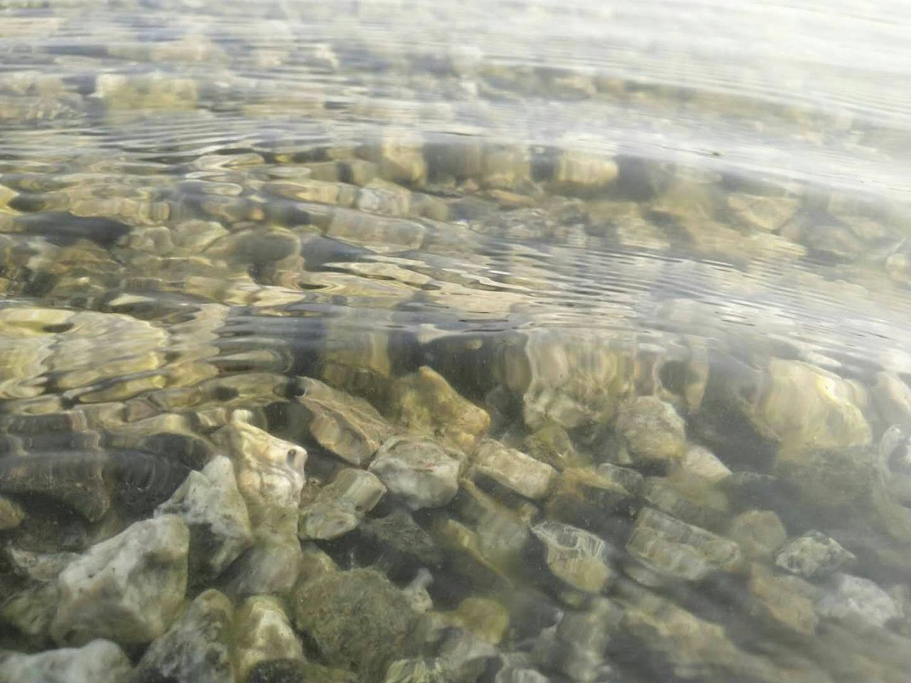 傍晚的小河边（图ZMTI0NDA1MjI4） - 风光摄影 - 站酷设计师做设计的小星原创素材 - 站酷ZCOOL