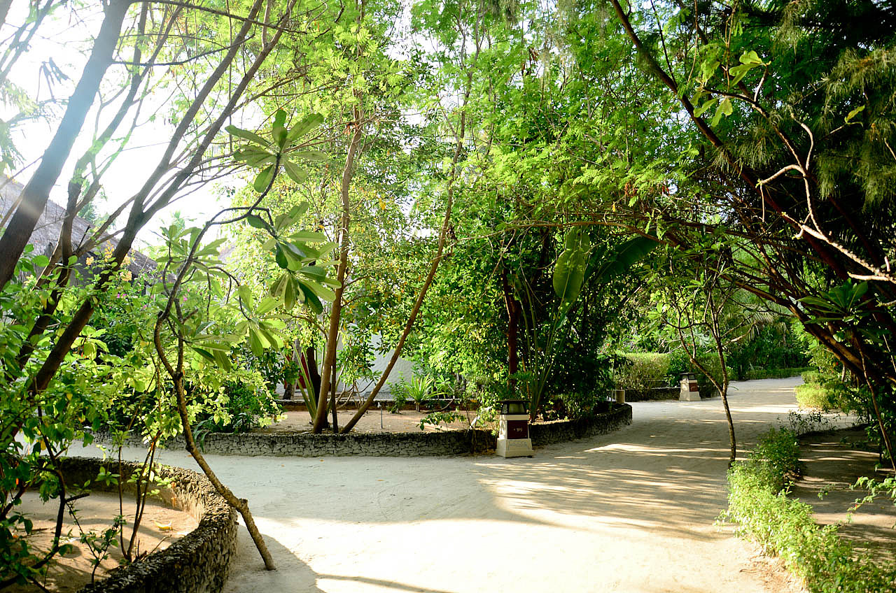 马尔代夫游记 - 梦幻岛 - 四晚六天（图ZNTM5Nzg2OA==） - 风光摄影 - 站酷设计师blue_hermit原创素材 - 站酷ZCOOL