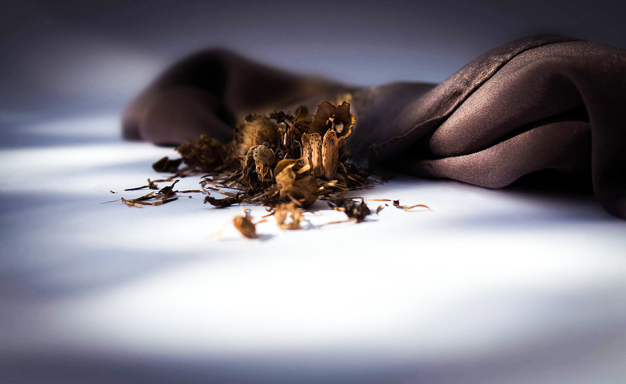 草木染-书籍装帧设计（图ZMTY0OTk4MzU2） - 书籍/画册 - 站酷设计师Hasdisappeared原创素材 - 站酷ZCOOL