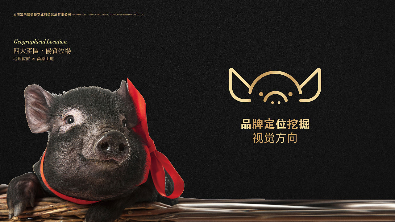 诺邓黑猪火腿包装设计|平面|包装|生活就像超级玛毅 - 原创作品