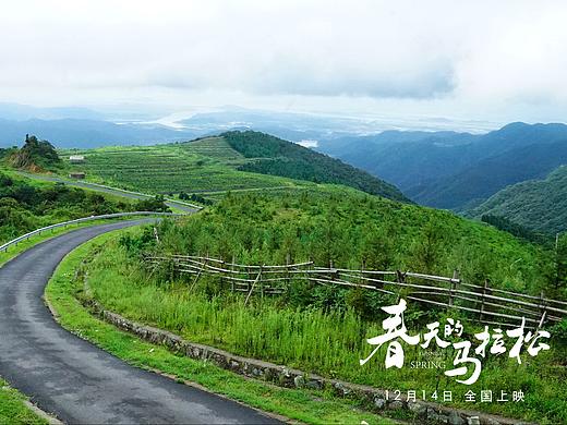 电影《春天的马拉松》剧情照片手绘