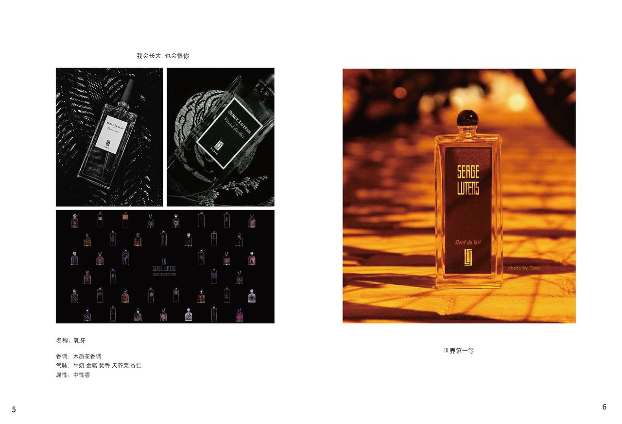 前年冬天的风格，因为喜欢芦丹氏（图ZMjQ1NzY2NDky） - 书籍/画册 - 站酷设计师小C来了原创素材 - 站酷ZCOOL