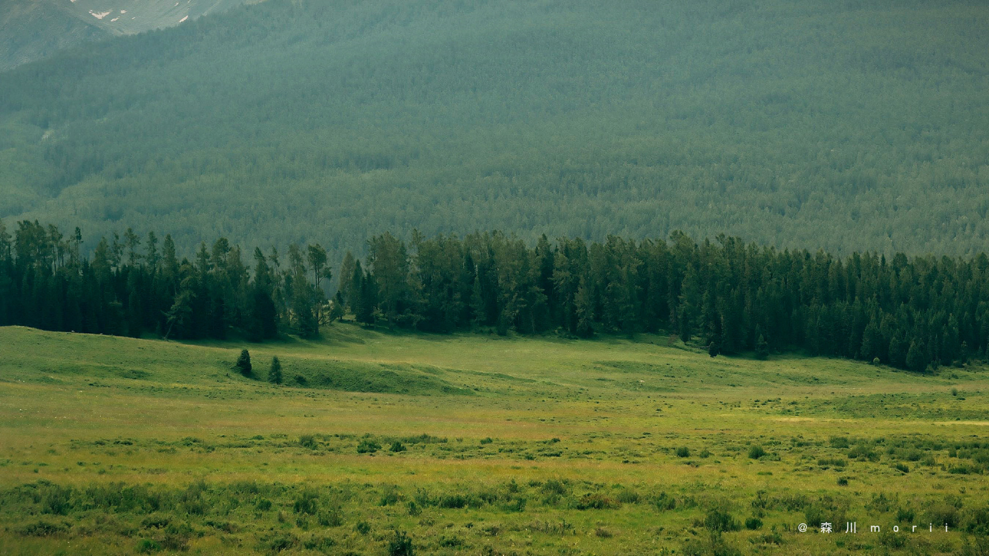 老陳醋汁的個(gè)人主頁（封面預(yù)覽） - 主頁封面設(shè)置 - 站酷設(shè)計(jì)師老陳醋汁原創(chuàng)素材 - 站酷ZCOOL