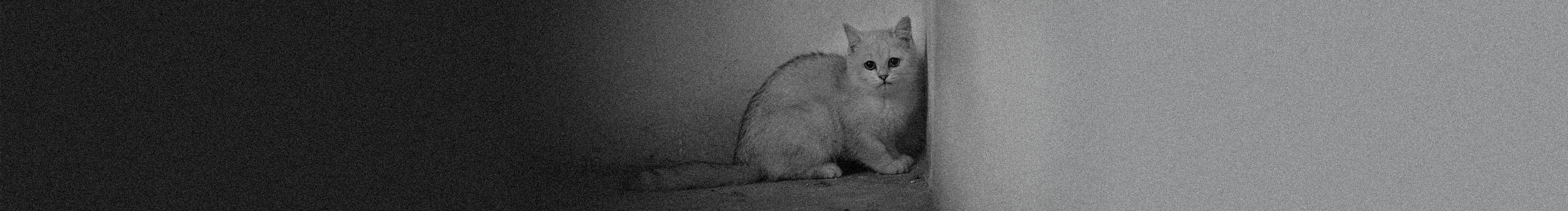 SanJi丶的個人主頁（封面預(yù)覽） - 主頁封面設(shè)置 - 站酷設(shè)計師SanJi丶原創(chuàng)素材 - 站酷ZCOOL