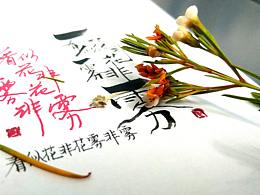 色即是空