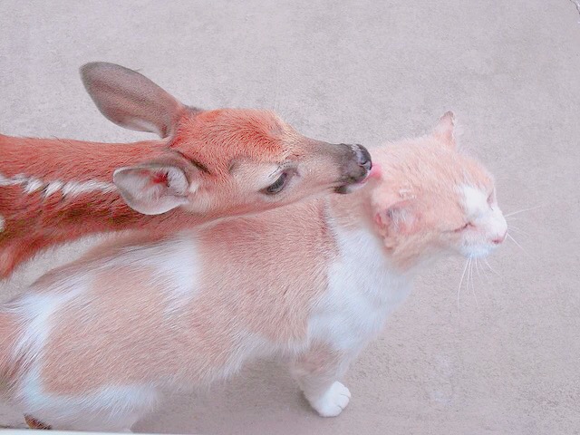 yyy的的个人主页（背景预览） - 主页背景设置 - 站酷设计师yyy的原创素材 - 站酷ZCOOL