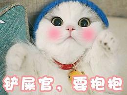 為公司項(xiàng)目做的一批貓表情設(shè)計(jì)