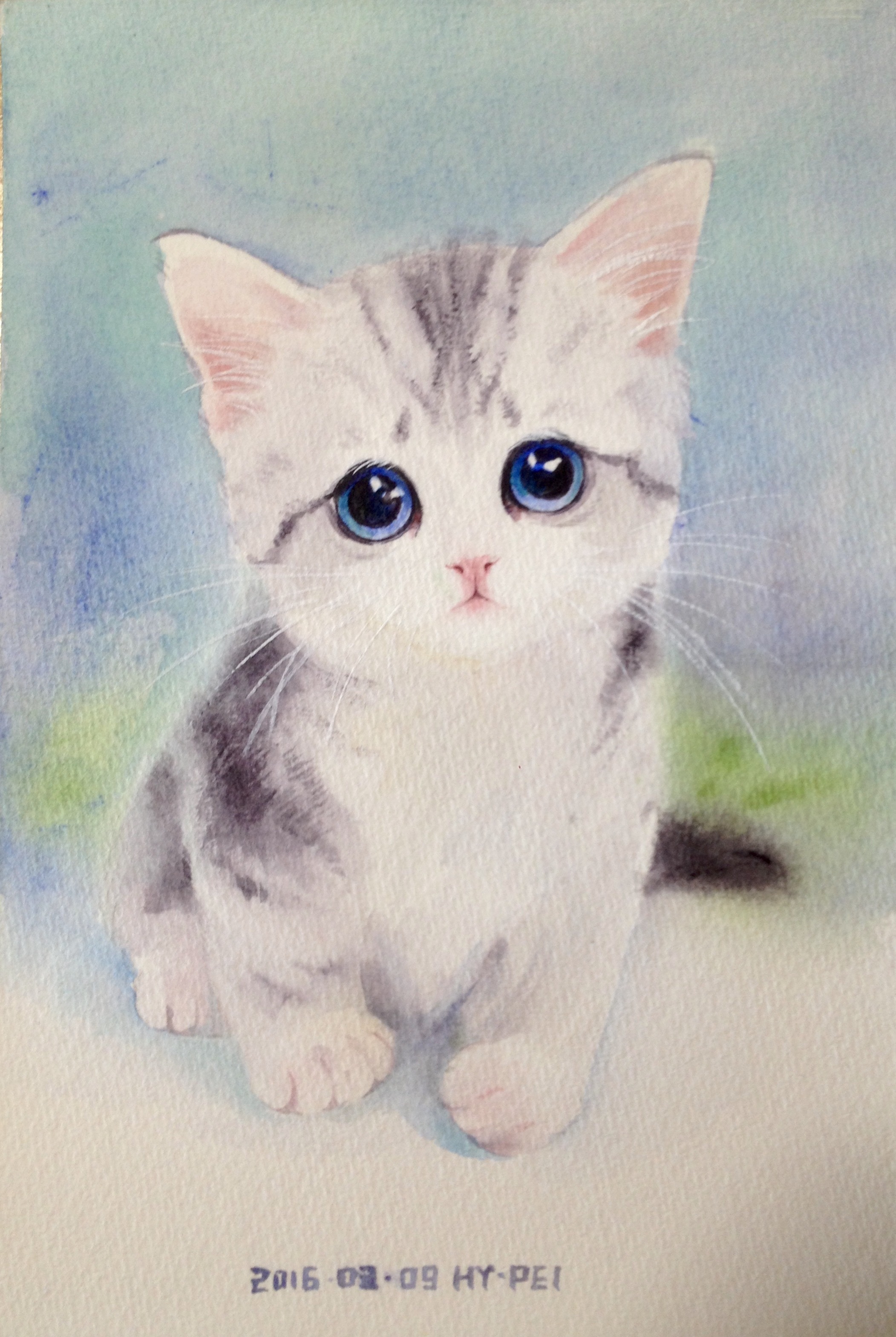 彩铅猫猫|纯艺术|彩铅|会画画的云 - 原创作品 - 站酷 (ZCOOL)