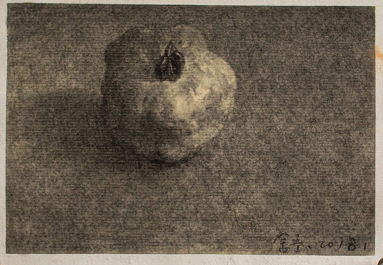 石榴石榴、素描——舒揚(yáng)（圖ZMjMzMDU0MzQ0） - 繪畫 - 站酷設(shè)計(jì)師糙吉流原創(chuàng)素材 - 站酷ZCOOL