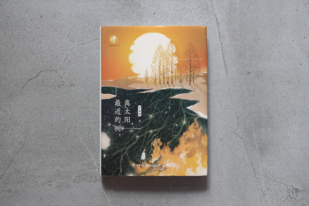 一些封面商稿（图ZMTI5NTMxMTc2） - 商业插画 - 站酷设计师starry阿星原创素材 - 站酷ZCOOL