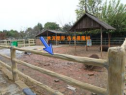 关于萌宠动物乐园的设计探讨（食草类）