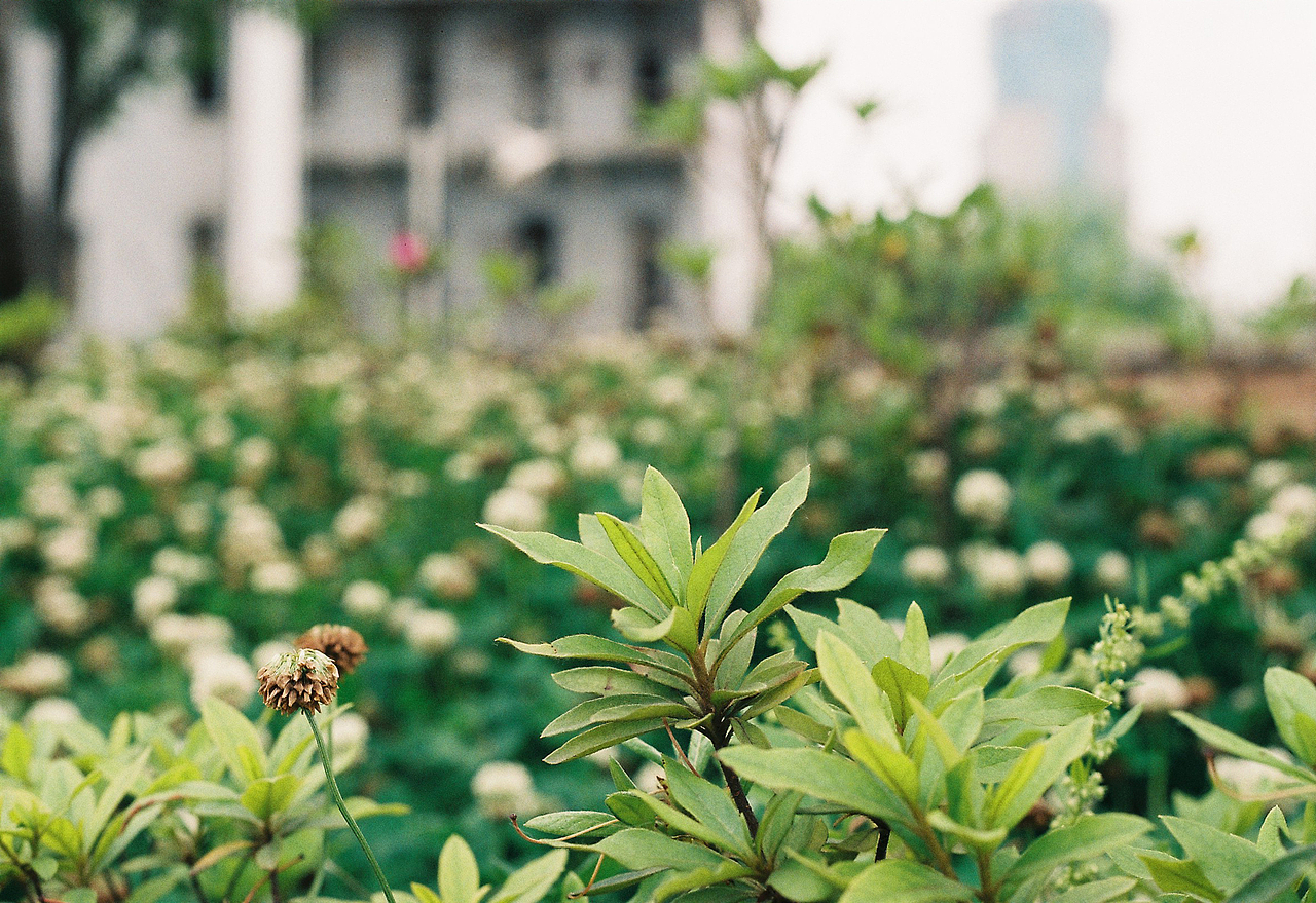 吴熙玮和他的胶片