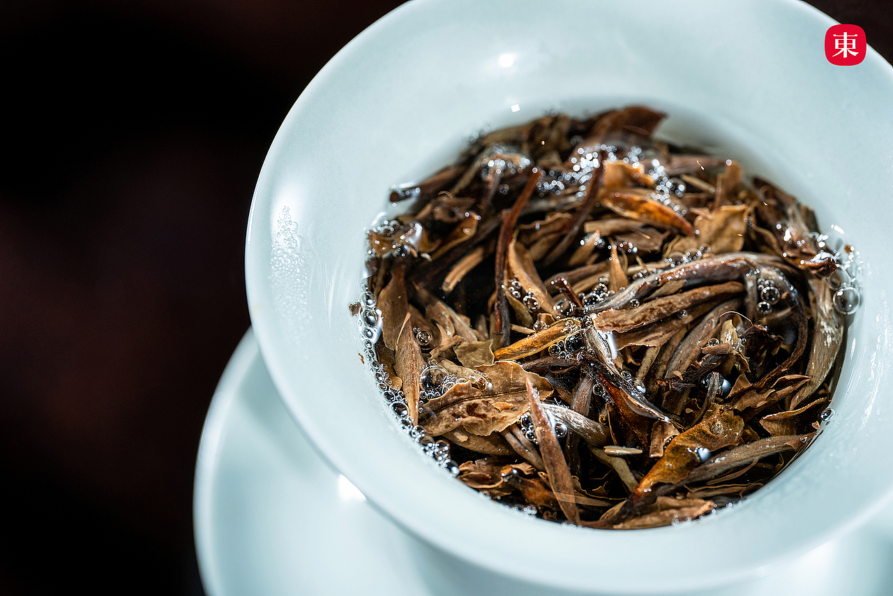 【东集Tonji】白茶金库福鼎白茶白牡丹5年10年15年20年