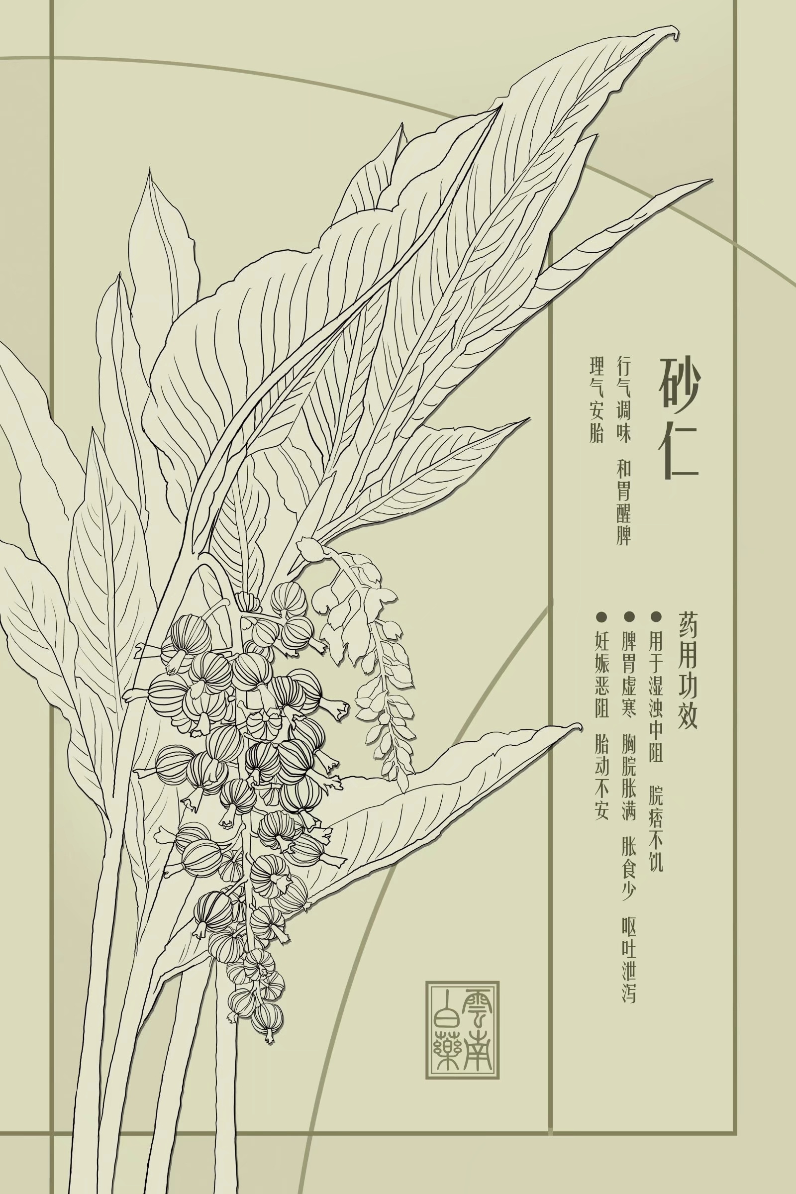 云南白药草药浮雕设计