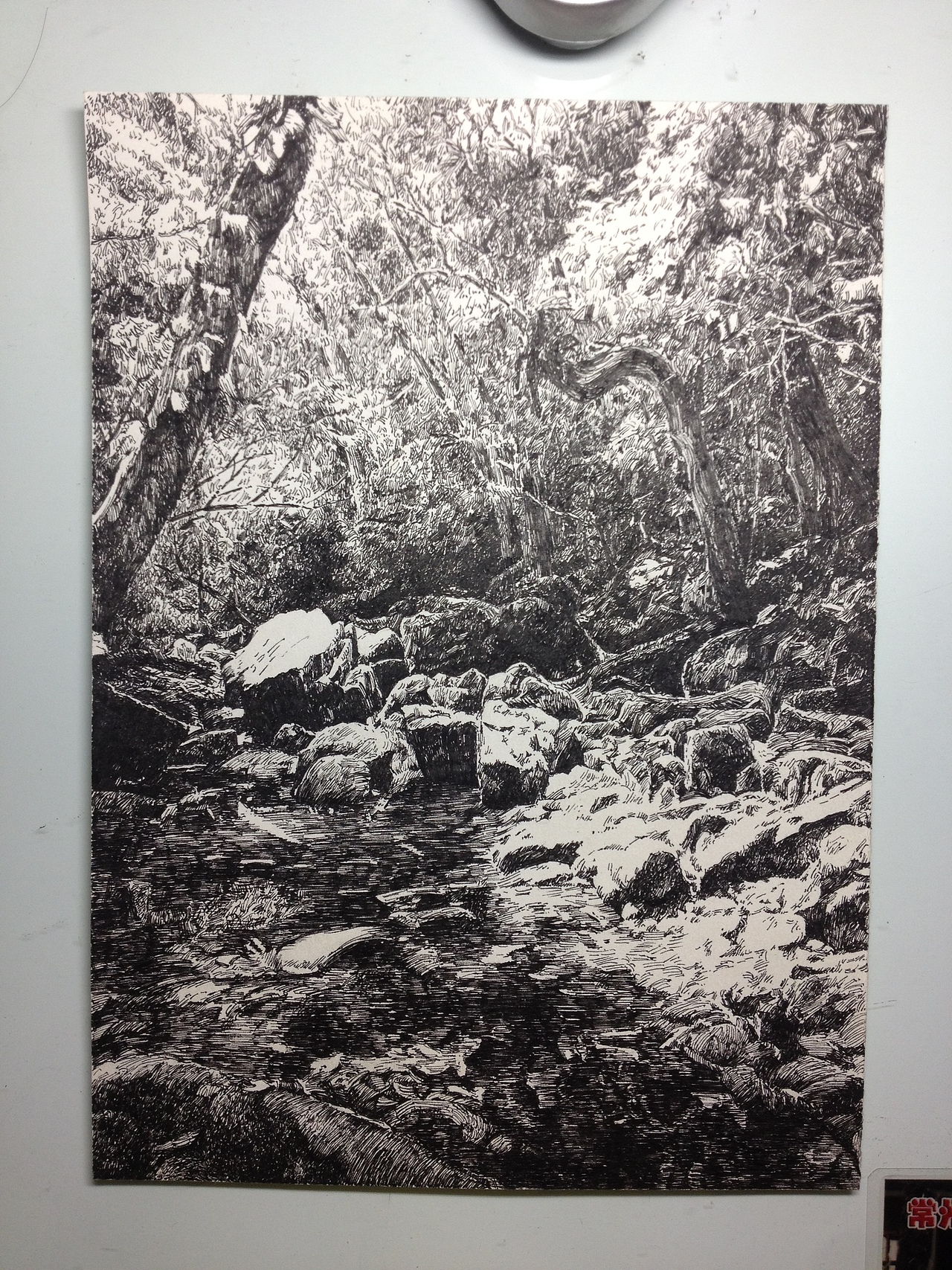 自学钢笔画各类作品一览~有你喜欢的么~