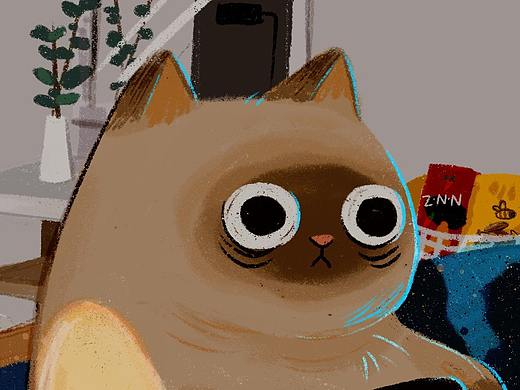 居家办公的一天