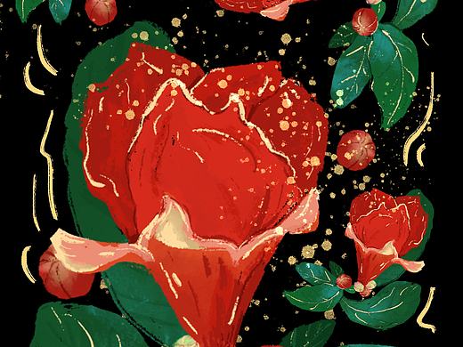 石榴花｜插画图案设计