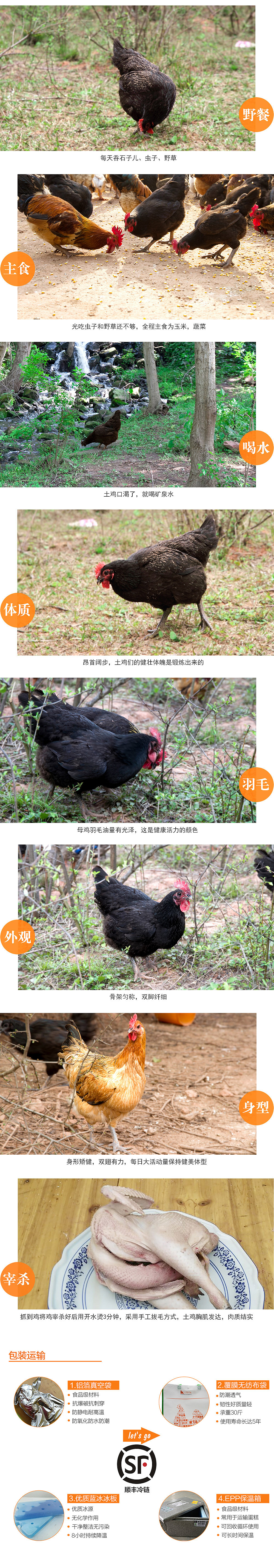 自建平台o2o生鲜土鸡土鸡蛋详情页（图ZNTI1OTE5OTY=） - 电商 - 站酷设计师涵星原创素材 - 站酷ZCOOL