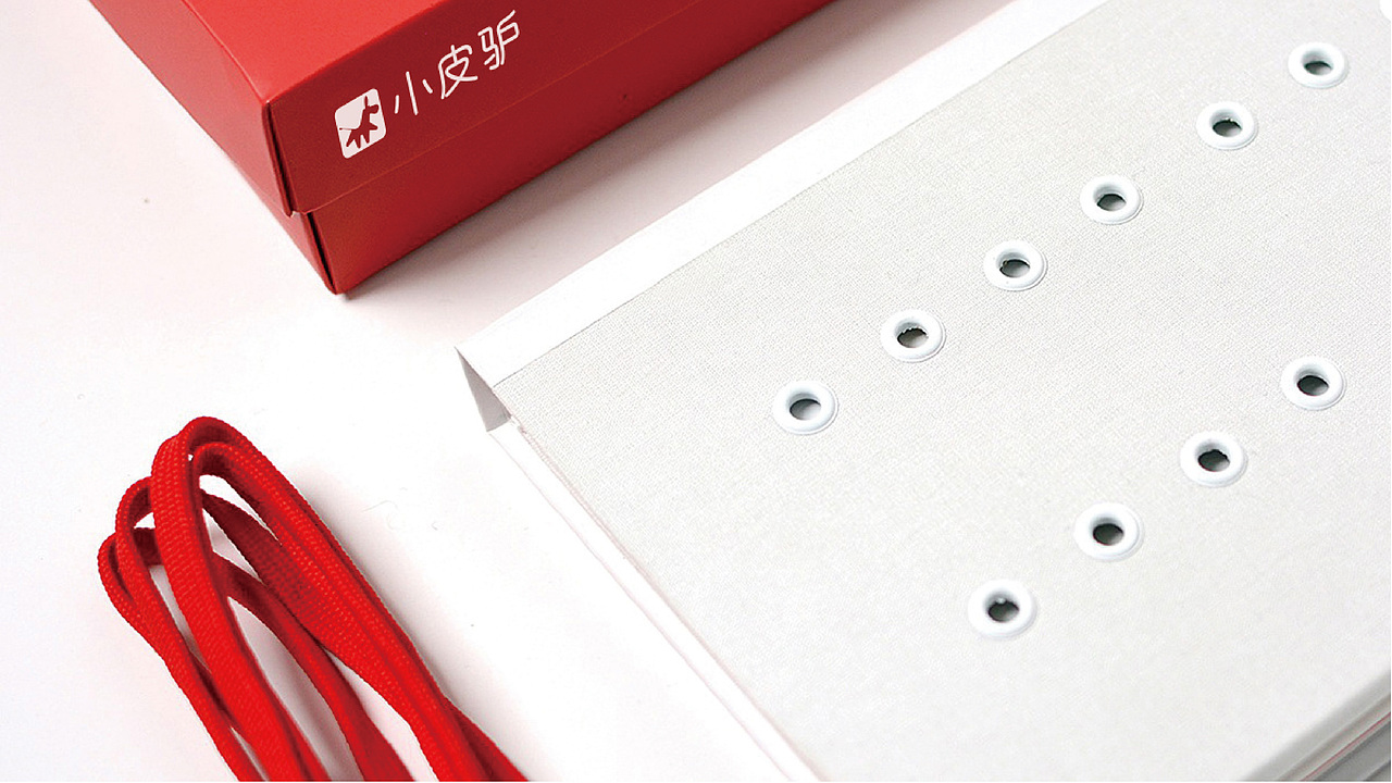 小皮驴品牌 VI设计