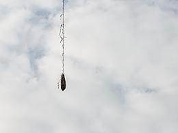 從天而降的絲瓜