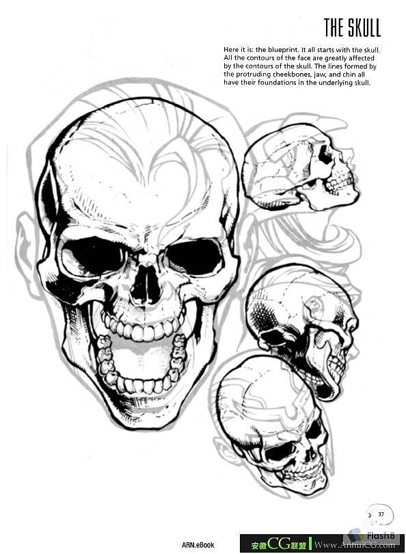 人体结构2（图ZMTkyNTQzNjcy） - 创作习作 - 站酷设计师御猫神原创素材 - 站酷ZCOOL