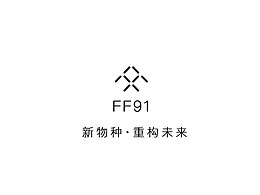 法拉第FF91  H5