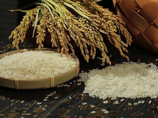 大米产品宣传片（个人主页-ZMzMwMDYwMDg=） - 宣传片 - 站酷设计师第一印象品牌设计原创素材 - 站酷ZCOOL