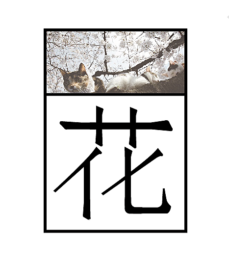 花字体