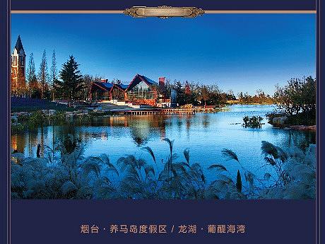 龙湖地产|龙湖灯箱|龙湖展架