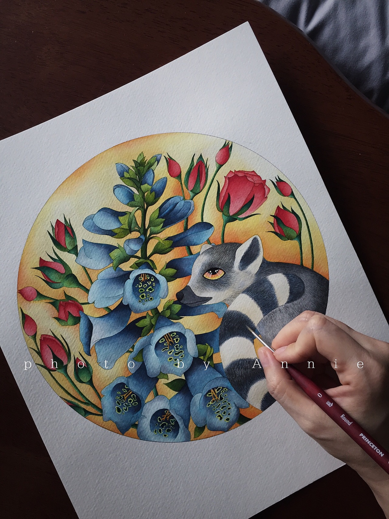 《植物与动物》系列