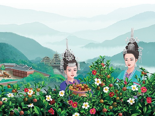 山茶油包装商业插画