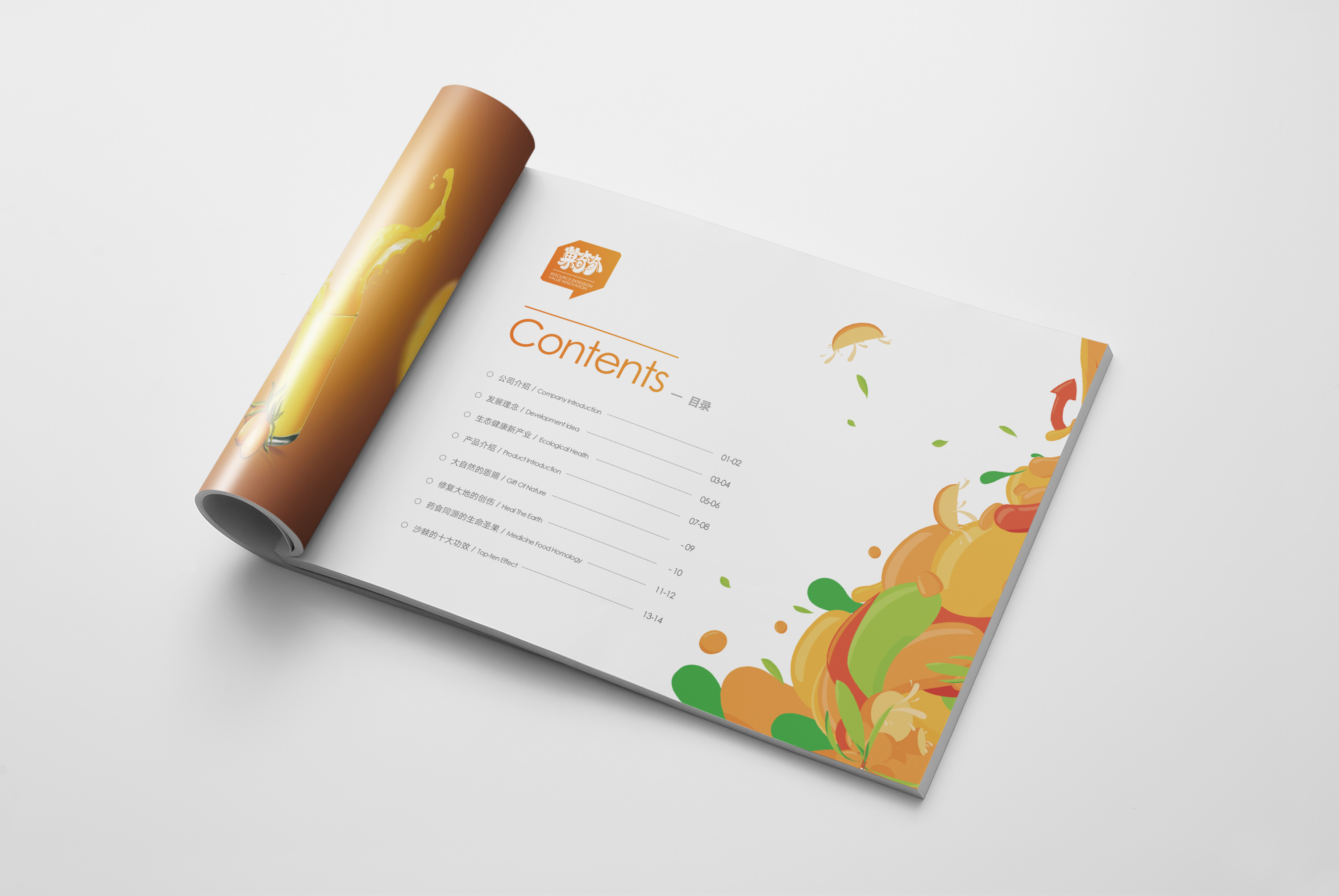 果汁画册,饮料画册,产品画册,时尚