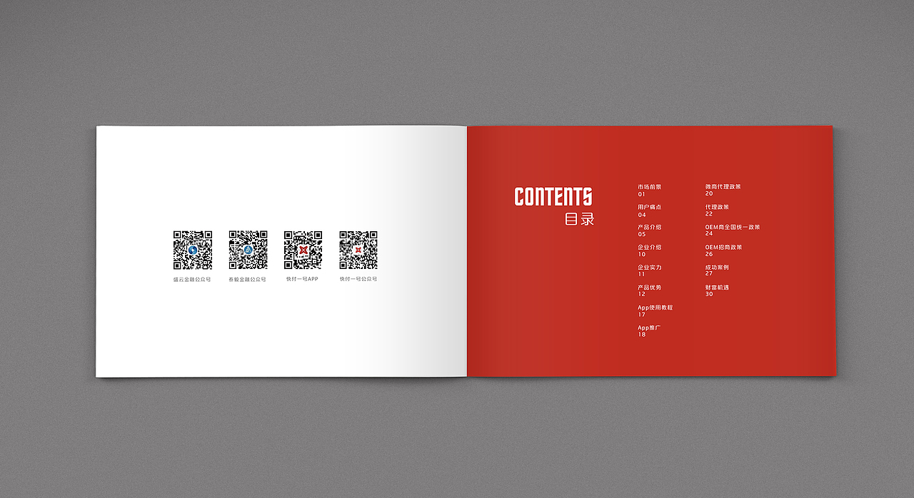 快付一号招商画册