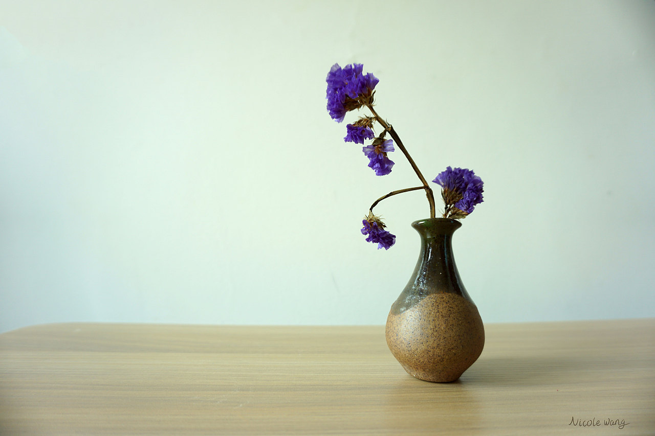 来自景德镇地摊儿上的小花瓶