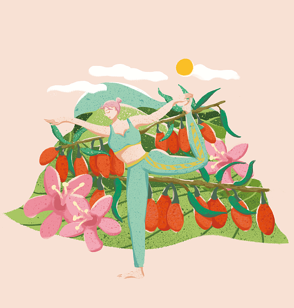 枸杞茶包装插画（图ZMTQ4ODY0NTky） - 商业插画 - 站酷设计师BEEF_肉原创素材 - 站酷ZCOOL