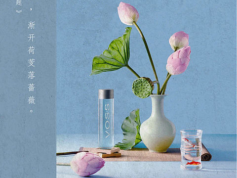 VOSS｜二十四节气海报