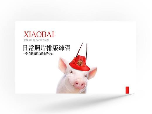 一张照片的故事（一张照片排版）