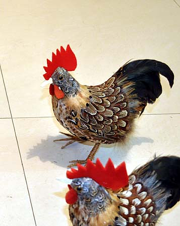 老爸的手工幺鸡