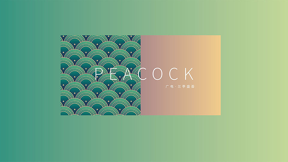孔雀主题VI构成（图ZMTU4MTI3MzIw） - 品牌 - 站酷设计师龙哥给点力原创素材 - 站酷ZCOOL