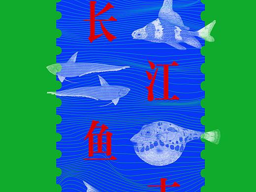 《长江鱼志邮票》系列设计——施陈