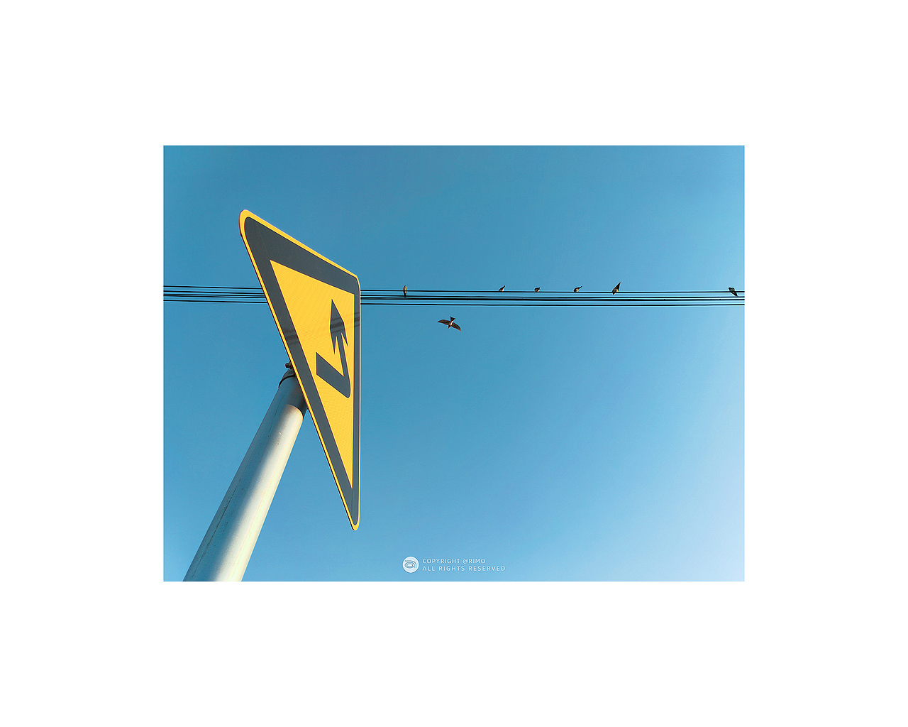 2021 | 手机摄影年终总结