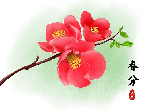 春分·海棠