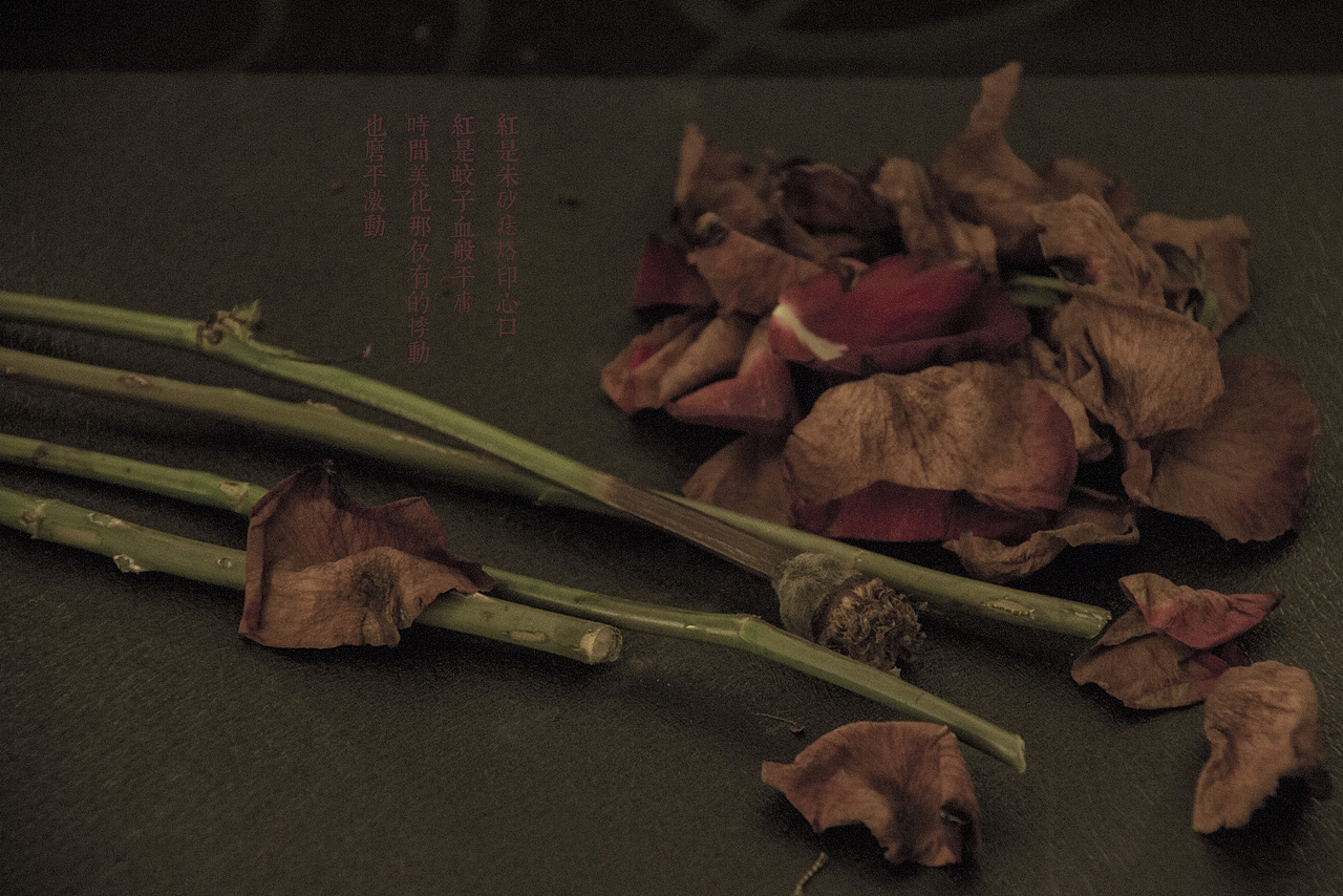 陈奕迅【红玫瑰】