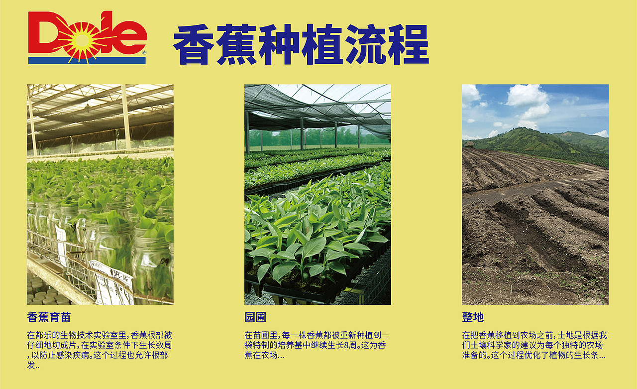 都乐香蕉喷绘设计（图ZMTkxNDIyODcy） - 宣传物料 - 站酷设计师土豆带你飞原创素材 - 站酷ZCOOL